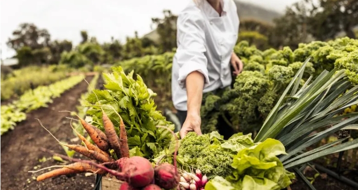 La alimentación sostenible es mucho más que una elección de comida; es un compromiso con prácticas éticas y respetuosas con el medio ambiente, que considera el origen, la producción y el consumo de los alimentos para promover la salud humana y la preservación del planeta.-6-2024_163540_www.lekue.com